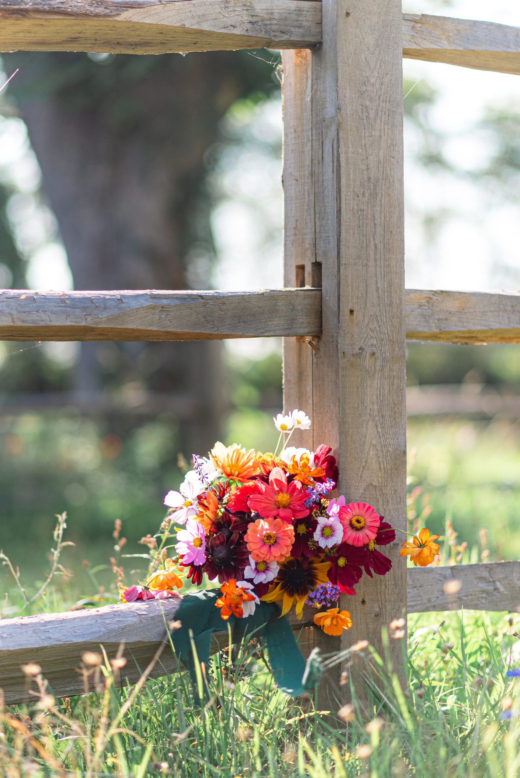 Cecilia-photographe-de-mariage-normandie