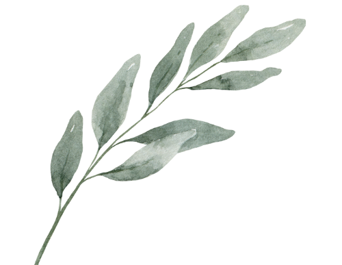 Feuille à l'aquarelle
